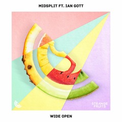 Midsplit - Wide Open (ft. Ian Gott)🍉
