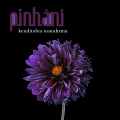 Pinhani - Kendinden Usandırma