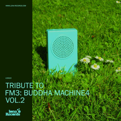 Shelf-Index - Buddha Looking For Machine (Nil - Fi - Disko - Mix)