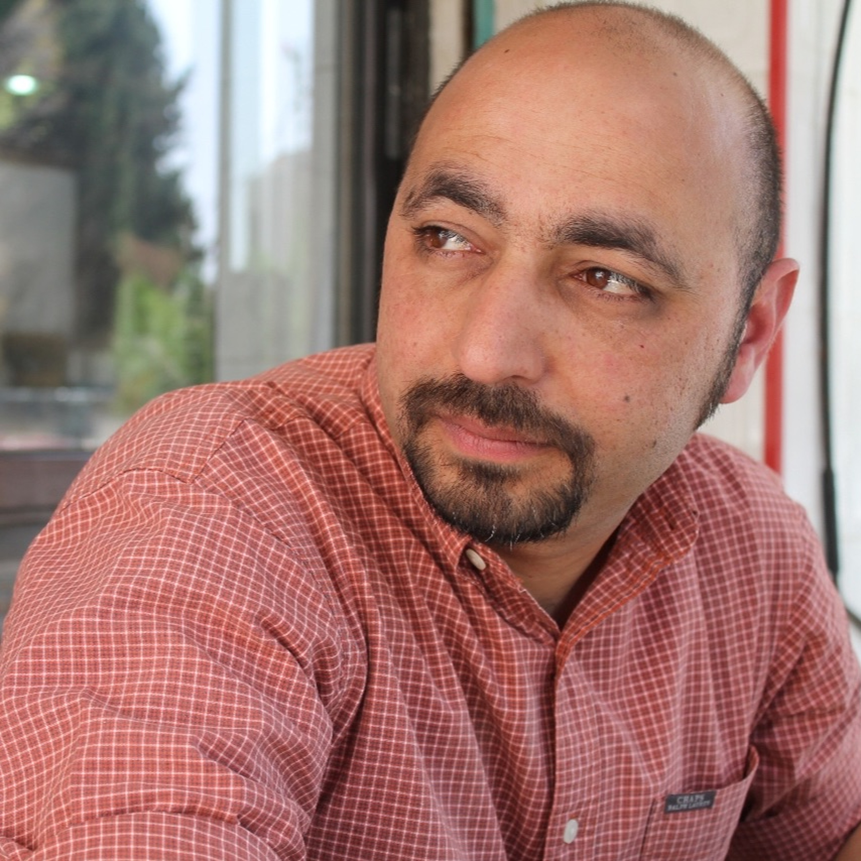 The Struggle: a reading and discussion with Hisham Bustani and translator Thoraya El-Rayyes episode artwork