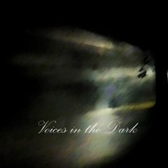 Voices in the Dark (2018)