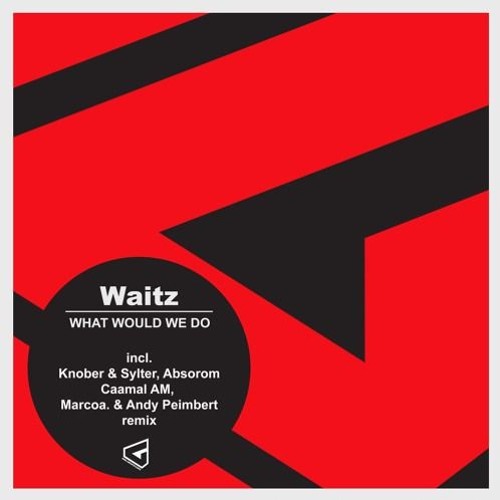 Waitz - What Would We Do (Original Mix) preview
