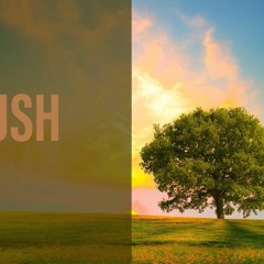 RUSH FT 2RREY