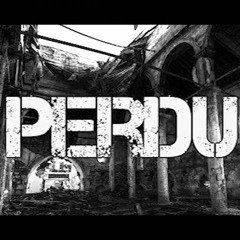HASS - Perdu_instrumental (prod by DProd)2014