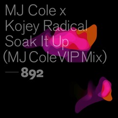 MJ Cole x Kojey Radical - Soak It Up (MJ Cole VIP Mix)