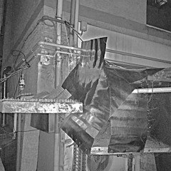 뱀머리박쥐인간더러운위선자