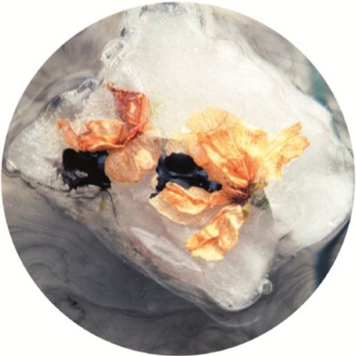 Alan Backdrop - Ditoan [Out For Oblique Music_007 V/A - Radiate EP] 12"