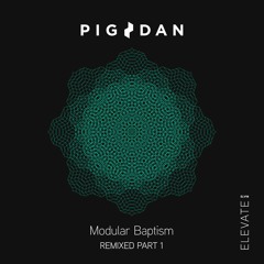 ELV96PT1 2. Pig&Dan - Modular Baptism - M.I.T.A. Remix