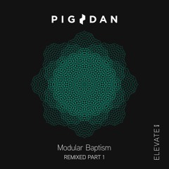 ELV96PT1 1. Pig&Dan - Now Or Never - Etai Tarazi Remix