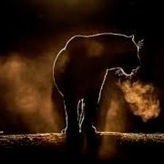 Project 11 (prod by NVMD)