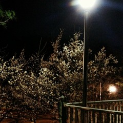 [ Tunnel ] /서정적인비트/감성적인비트