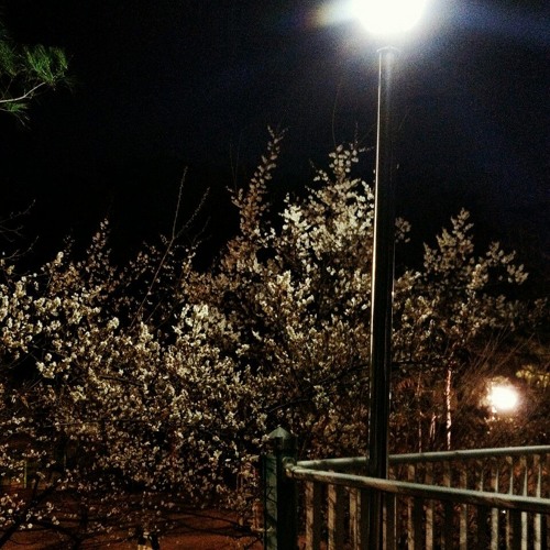 [ Tunnel ] /서정적인비트/감성적인비트