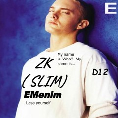 Eminem/8 Mile,Yelawolf,Rihanna,D12,Skylar Grey,Dr.Dre) ZK