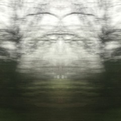 Corridor Of Pareidolia