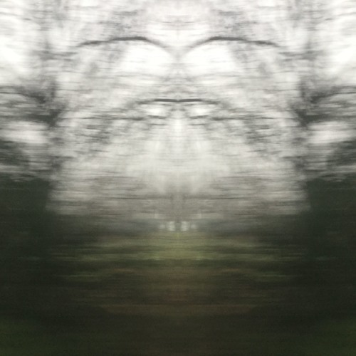 Corridor Of Pareidolia
