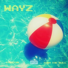 WAYZ Feat. Tony The Bull (Prod. BirdieBands)