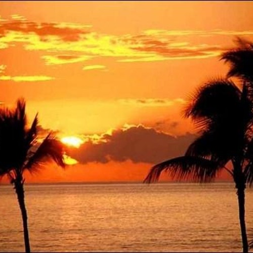 Bukini jake jebol eo