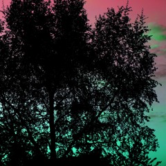 Kodii X IMPARSHL - Hallucinate