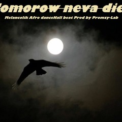 ''Tomorrow neva dies''-instrumental-Burna boy X sarkodie X Run Town X Busy Signal type beat