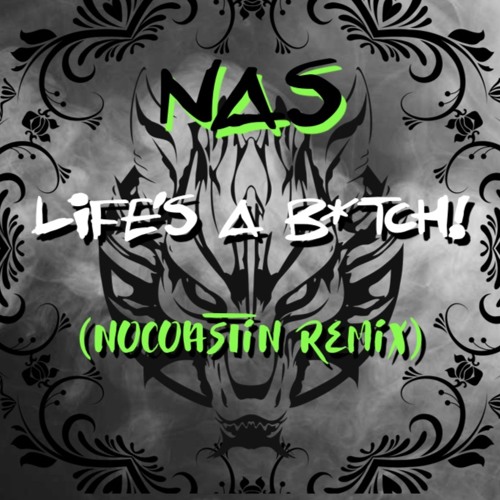 Nas "Life's A B*tch" (Nocoastin remix)