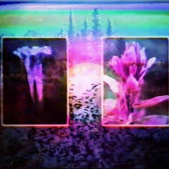 ＳＣＡＮＬＩＮＥＳ (ｖａｐｏｒｗａｖｅ      ｍｉｘ)