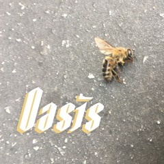 OASIS