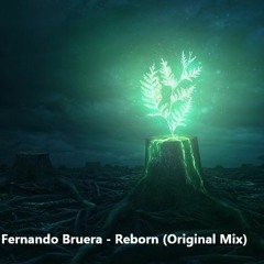 Fernando Bruera - Reborn (Original Mix)
