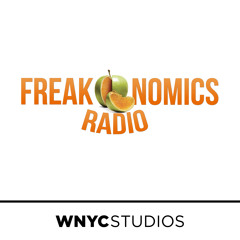 Freakonomics: What Does a C.E.O. Actually Do?