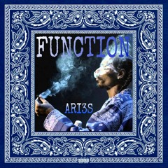 Function - Ari3s Gang