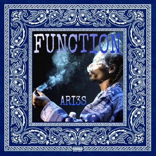 Function - Ari3s Gang