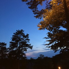 Waste My Time (Premaster) @FlyFayMusic *VerdeMusicGroup