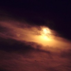 Lua Amorosa