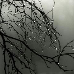 Liquid Fraction - Dreaming Of Rain - Deep Atmospheric Ambient  DuB Techno Mix - May 2018