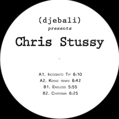 Chris Stussy - Incognito Tip