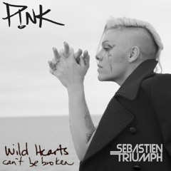 Pink - Wild Hearts Can't Be Broken (Sebastien Triumph Remix)