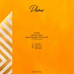 Moonlit Vision - Soul Love (Rich NxT Remix)