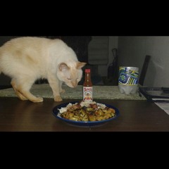 Michael Flores - Boogie