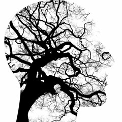 Brain's Morning
