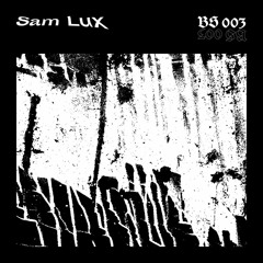 Sam Lux - Source Of Error [BS03]