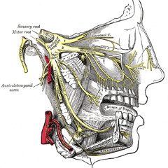 Atypical Trigeminal Neuralgia
