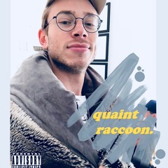 quaintraccoon.