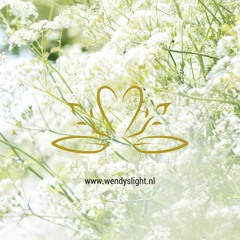 Combinatie visualisatie Je energieveld in eigendom nemen & eigen zon