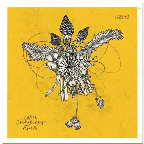 PREMIERE: Carlo - Anais [ODB]