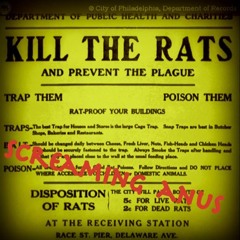 Kill The Rats
