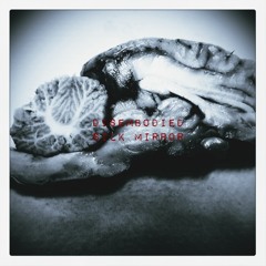 Disembody ''silk mirror''