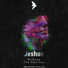 Jeshua - No Hope (MLC Remix)