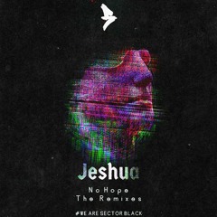 Jeshua - No Hope (LiquidFlux Remix)
