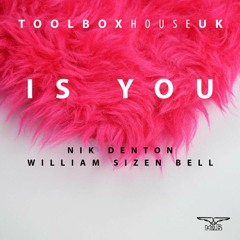 Nik Denton & William Sizen Bell - Is You (Forthcoming On Toolbox House)