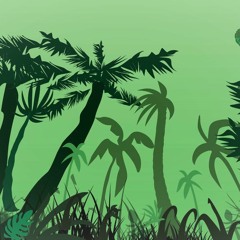 Night sounds in Amazonas