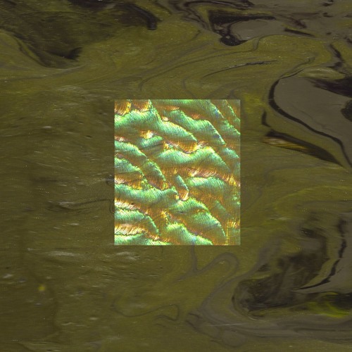Florian Meindl - Acid Harmo